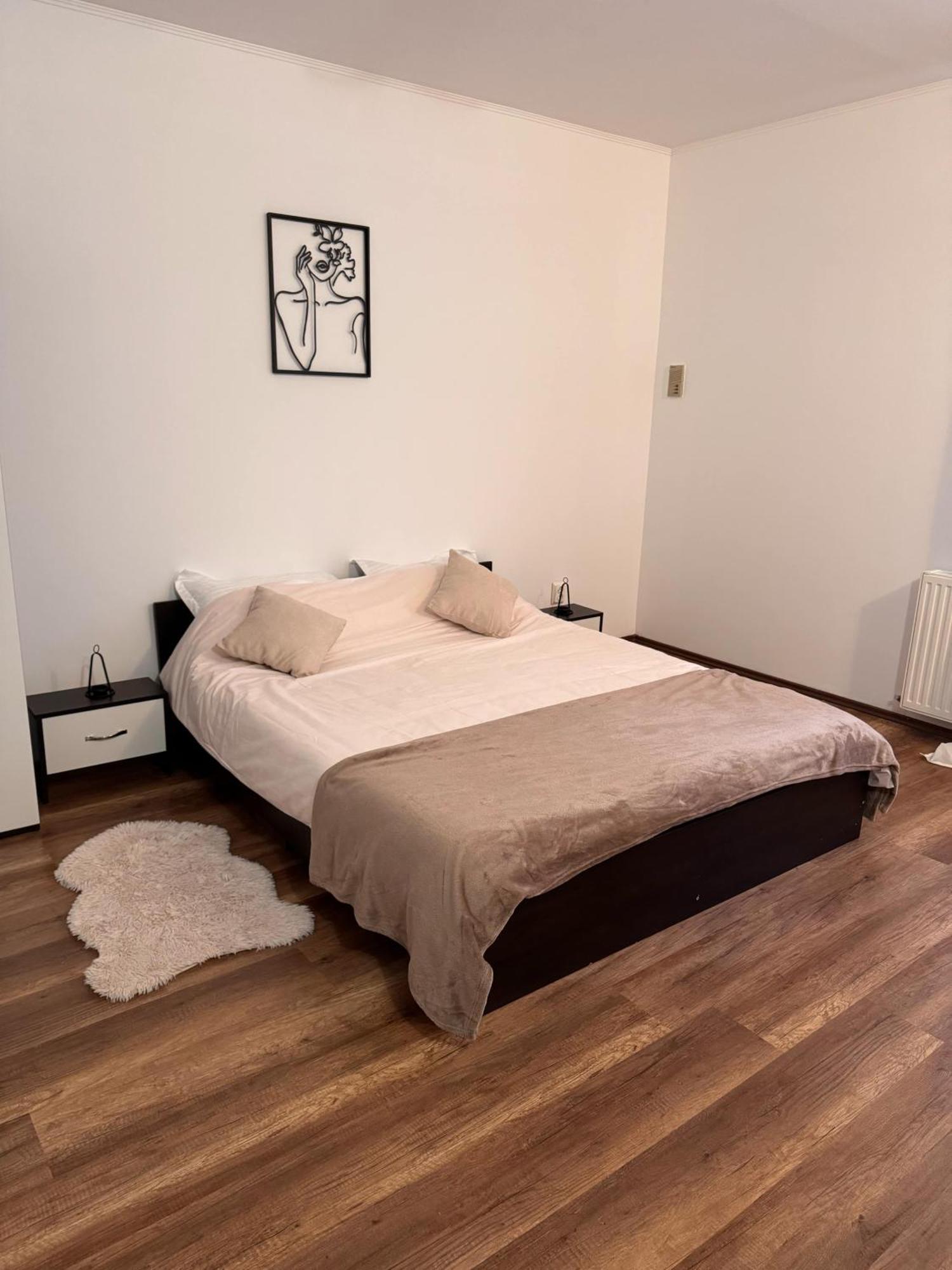 Madalina'S House Διαμέρισμα Μπρασόβ Εξωτερικό φωτογραφία