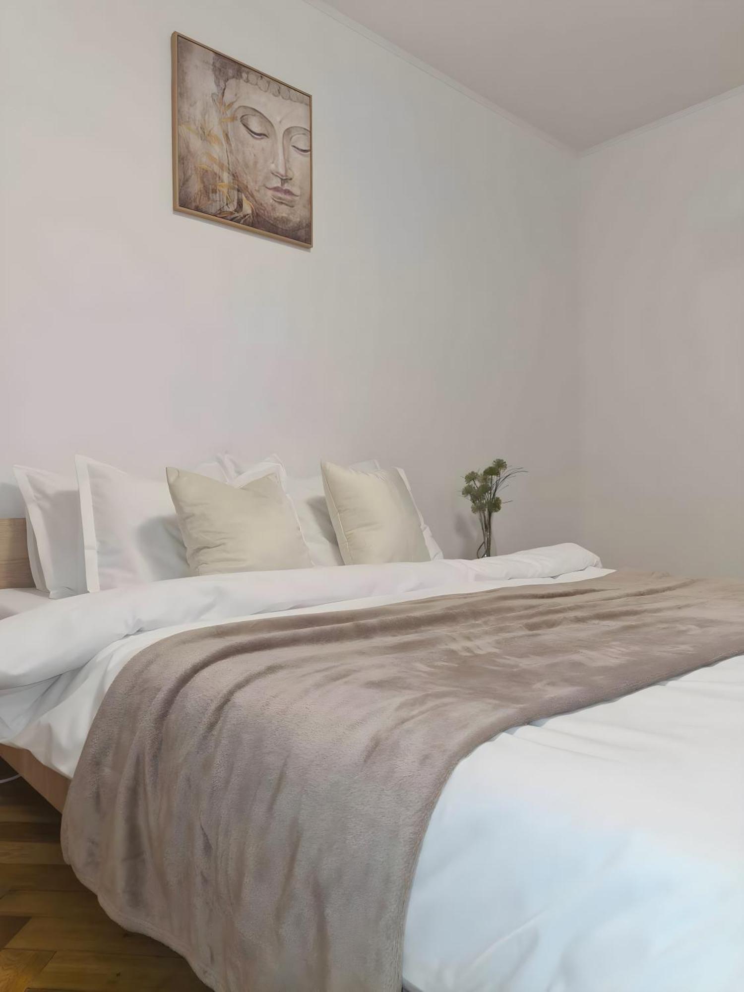 Madalina'S House Διαμέρισμα Μπρασόβ Εξωτερικό φωτογραφία